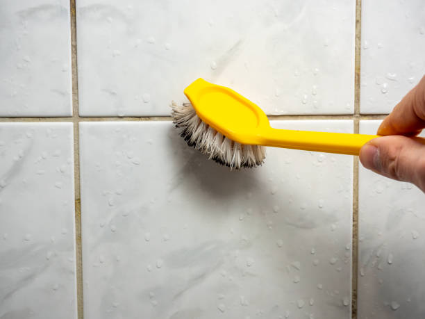 Best Mold Cleaning Services  in Dillsburg, PA