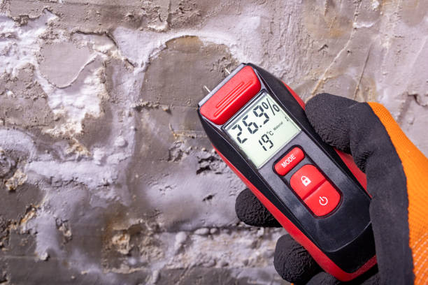 Best Mold Damage Repair  in Dillsburg, PA